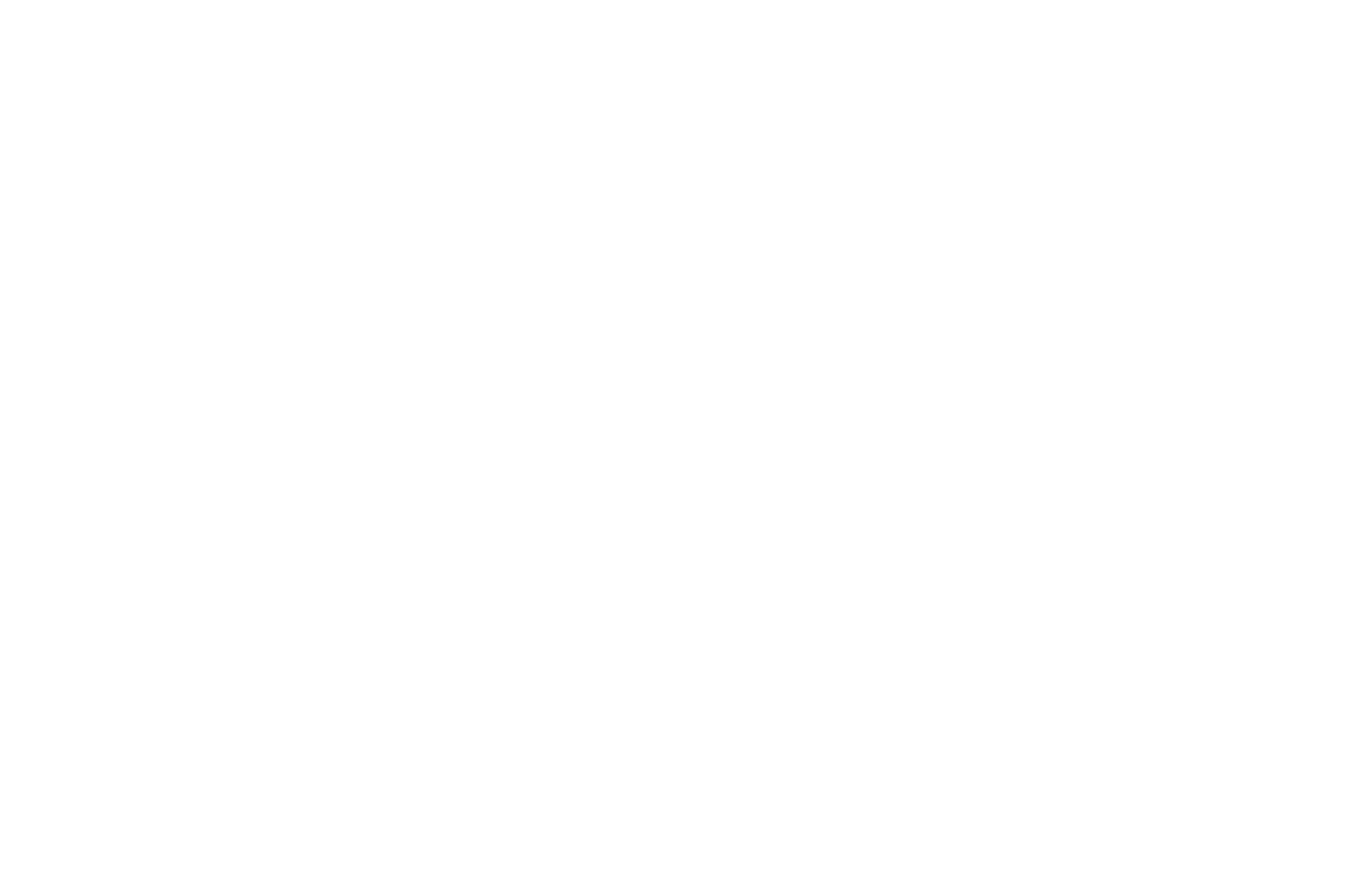 DD logo white